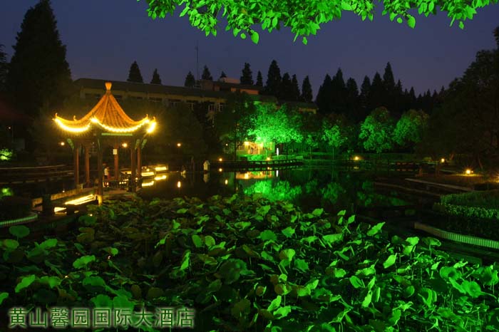 黃山馨園國際大酒店新建觀景臺賞荷塘美景